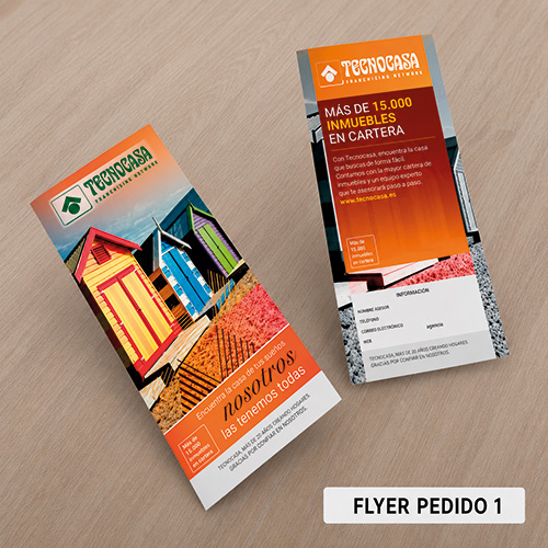 Flyer DL Tecnocasa 135 grms - Imagen 2